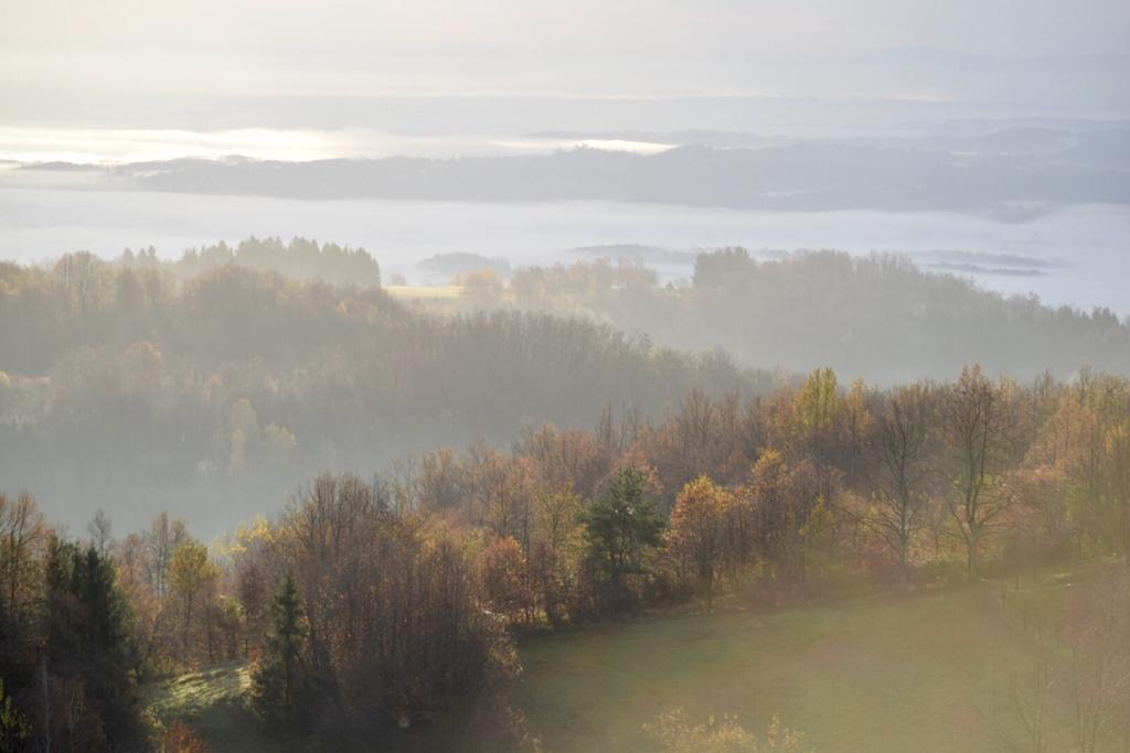 Guest House Lagotto'S Peak Radatovici ภายนอก รูปภาพ