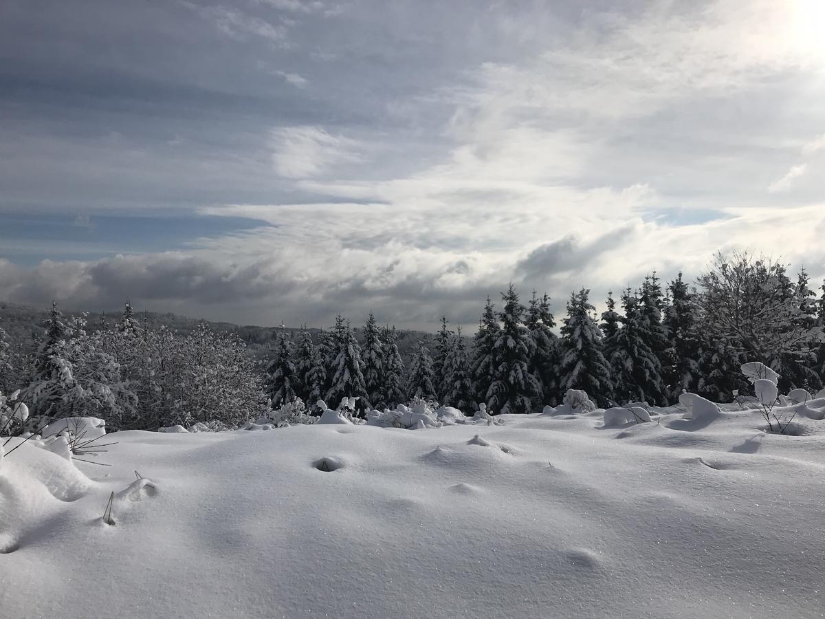 Guest House Lagotto'S Peak Radatovici ภายนอก รูปภาพ